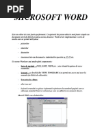 Microsoft Word