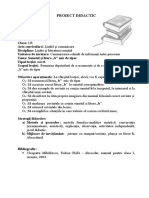 Proiect Didactic B