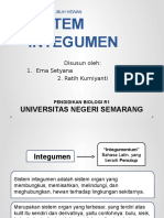 Sistem Integumen