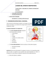 Tema I. Generalidades Del Aparato Respiratorio