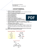 Guia de Glucolisis y Fermentación 