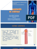 Radioaatomía de Esófago