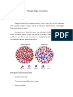 Fiziopatologie Leucemii