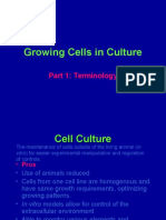 Growing PLHC1 Cells in Culture