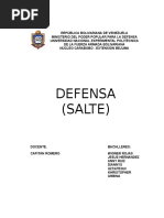 Defensa Salte