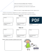 Trabajo Práctico de Ciencias Naturales 1º Básico