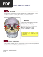 Huesos de La Órbita Ocular