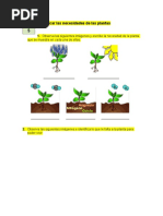 Identificar Las Necesidades de Las Plantas