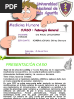 PDF Documento