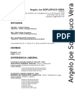 Curriculum Vitae