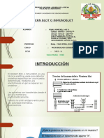 Western Blot o Inmunoblot