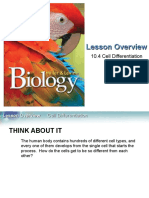 Section 10.4 Biology Book