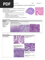 Endometrio