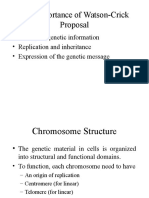 BIOL 3301 - Genetics Ch10B - Chromosome Structure ST