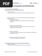 03 Genome Chromosome and Dna Webquest