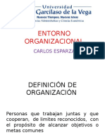 Entorno Organizacional