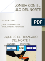 TLC Triangulo Del Norte