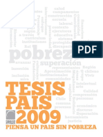 Calle Tesis Pais 2009