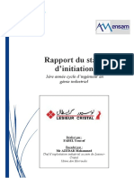 Rapport Stage D'initiation LESIEUR