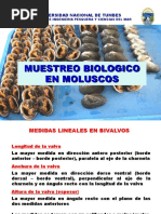 12 MUESTREO BIOLOGICO MOLUSCOS Biologia Pesquera PDF