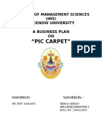 "Pic Carpet": Lucknow University A Business Plan ON