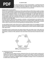 Desequilibrios Musculares - Janda PDF