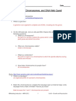 03 Genome Chromosome and Dna Webquest 2 1