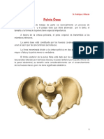 Pelvis