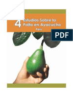 Aguacate Ayacucho Peru