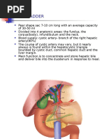 GALLBLADDER