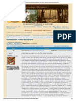 Construcción de Cuerno de Polvora - La Asociación de Avancarga Tradicional PDF