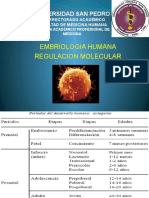 Regulacion Molecular