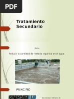 Tratamiento Secundario