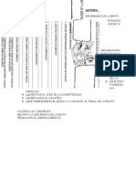 Actividades Articulación