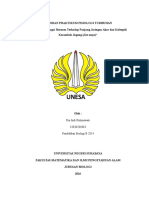 Pengaruh Berbagai Hormon Terhadap Panjang Jaringan Akar Dan Koleoptil Kecambah Jagung (Zea Mays)