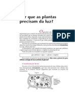 Telecurso 2000 - Biologia 26