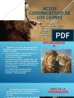 Actos Comunicativos de Los Leones