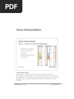 7 Facies Interpretation