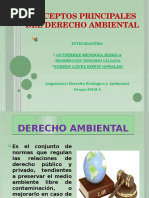 Conceptos Principales Del Derecho Ambiental