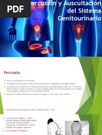 Percusión y Auscultación Del Sistema Genitourinario