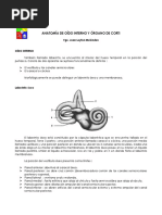 Anatomia de Oido Interno y Organo de Corti PDF