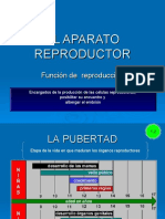 Aparato Reproductor