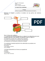 GUÍA - Sistema Digestivo