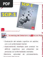 Scip-S Web 2014