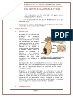 Obtencion Del Gluten de La Harina de Trigo