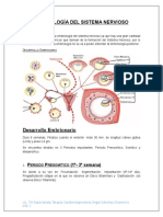 Clase de Embriología Del SNC