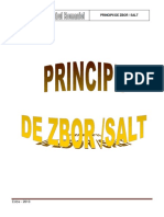 Curs Principii de Zbor Salt 2013 PDF