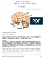 Cura e Ascensão - Tudo Sobre A Glândula Pineal