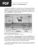 Práctica 2. Ciclos Biogeoquímicos