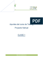 Apuntes - Testing - CLASE 1 PDF